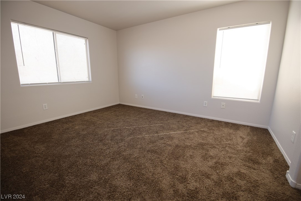 11080 African Sunset Street - Photo 11