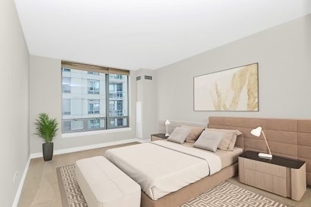 600 N Lake Shore Drive - Photo 17