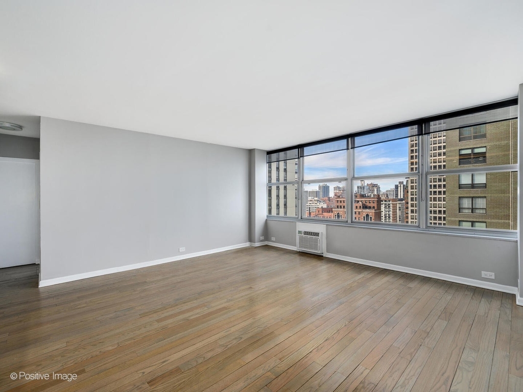 1000 N Lake Shore Drive - Photo 5