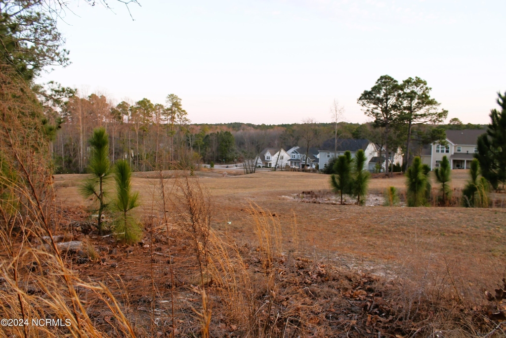 765 Avenue Of The Carolinas - Photo 36