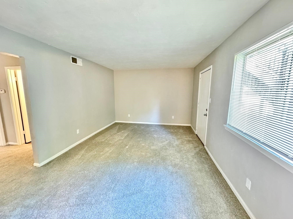 1401 Lazy Brook - Photo 2