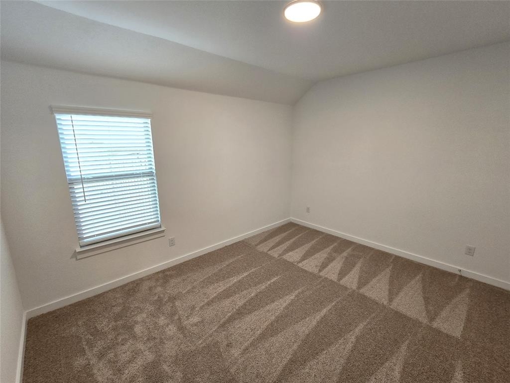 14736 Blanco Bistro Street - Photo 21