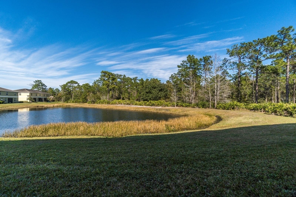 8614 Fiddleleaf Court - Photo 1