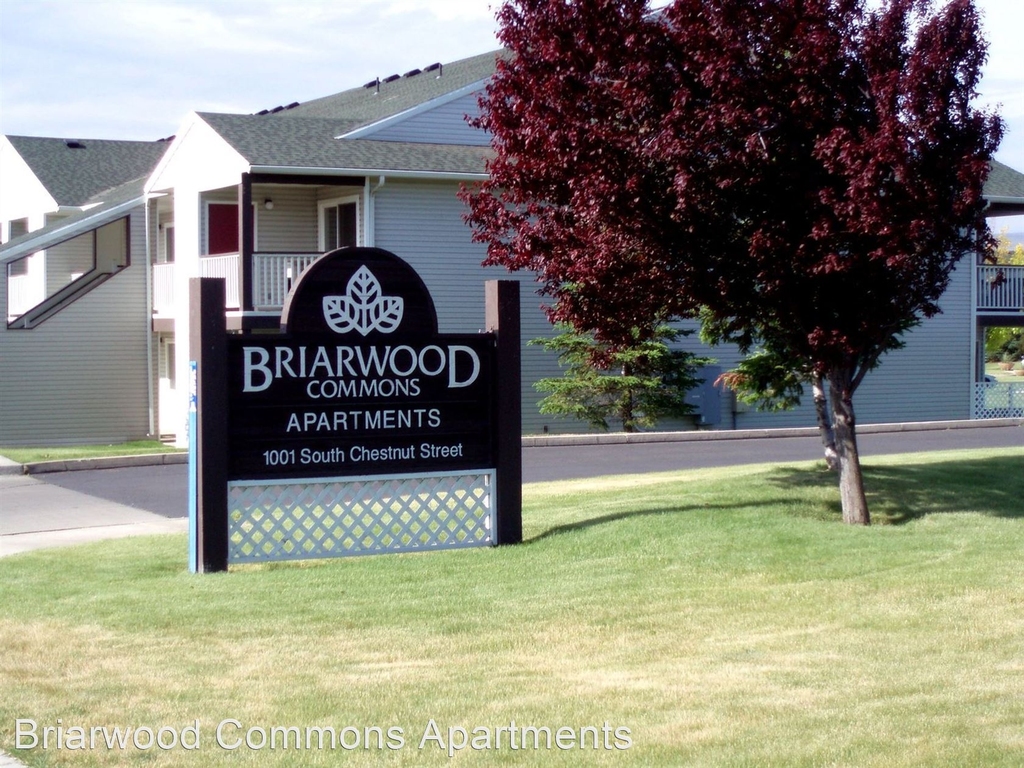 Briarwood Commons 1001 S. Chestnut St - Photo 41