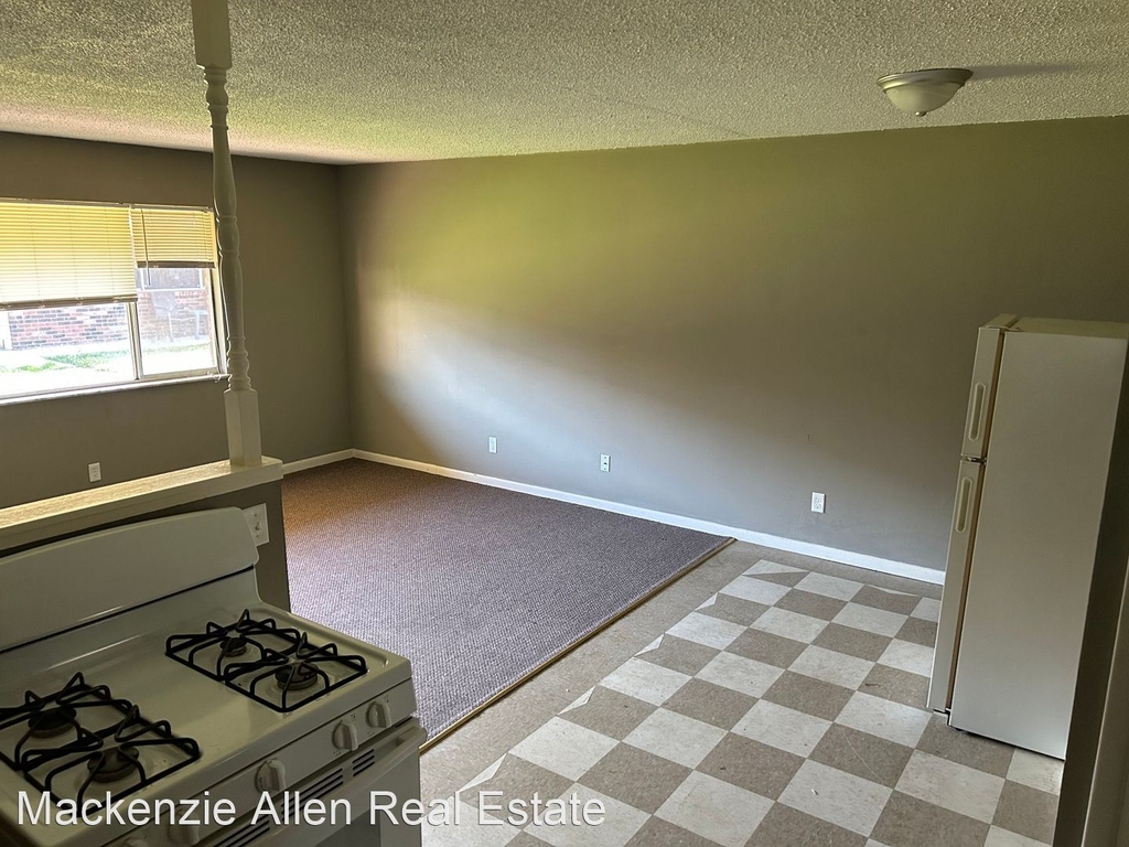 217 N Hamilton Apt 8 - Photo 8