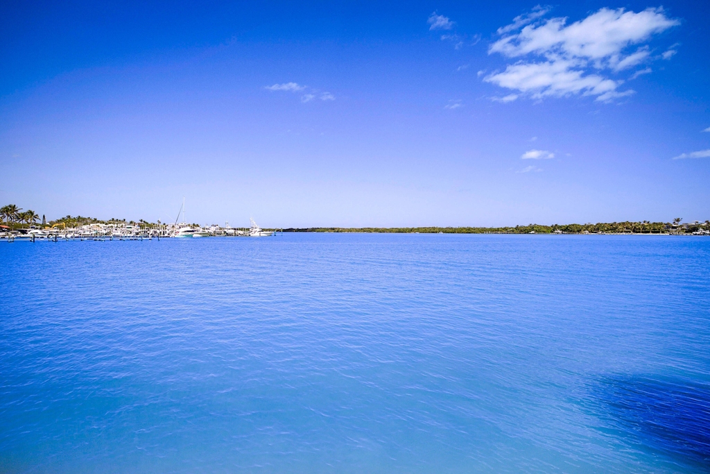 300 Intracoastal Place - Photo 42