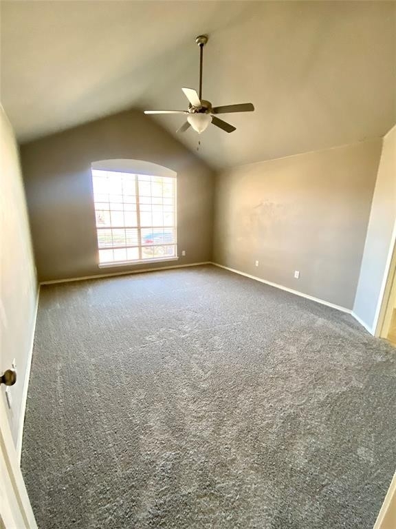 6213 Candletree Lane - Photo 17