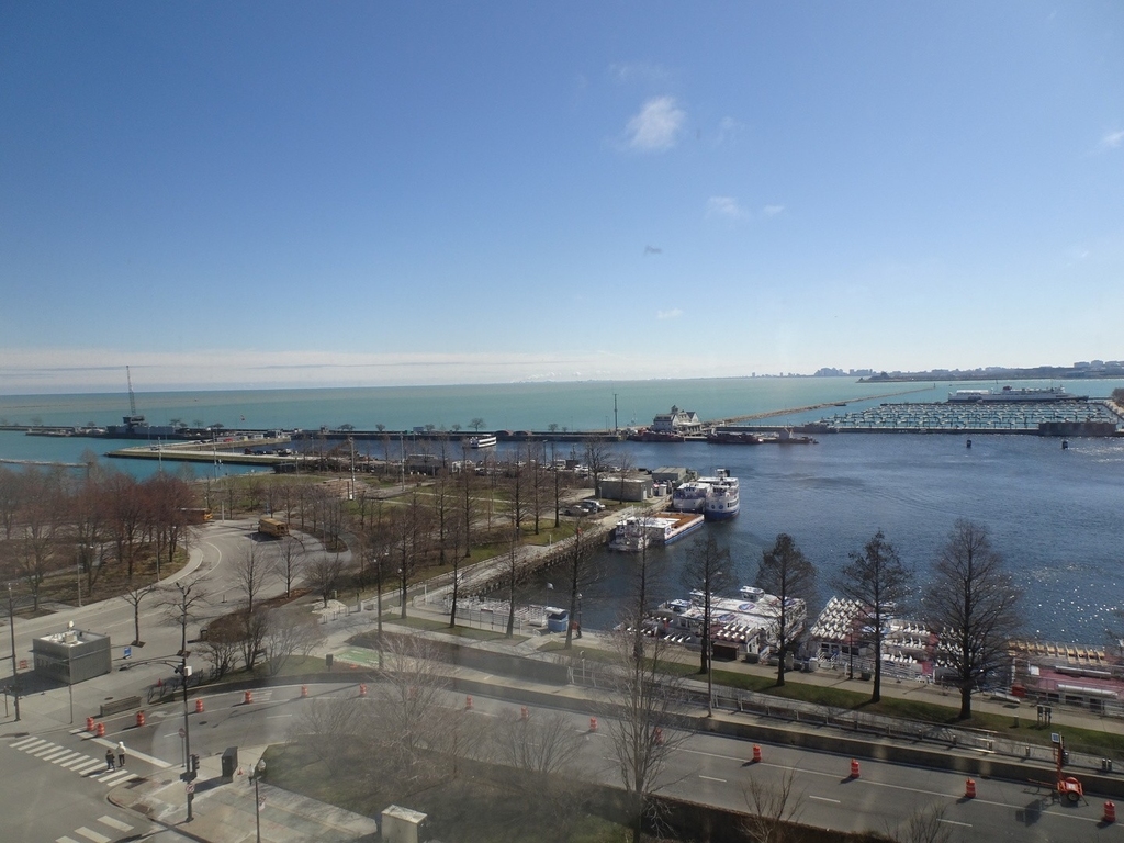 505 N Lake Shore Drive - Photo 3