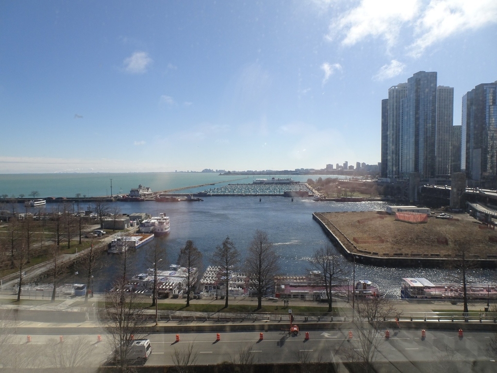 505 N Lake Shore Drive - Photo 2