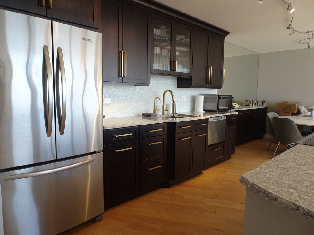 505 N Lake Shore Drive - Photo 5