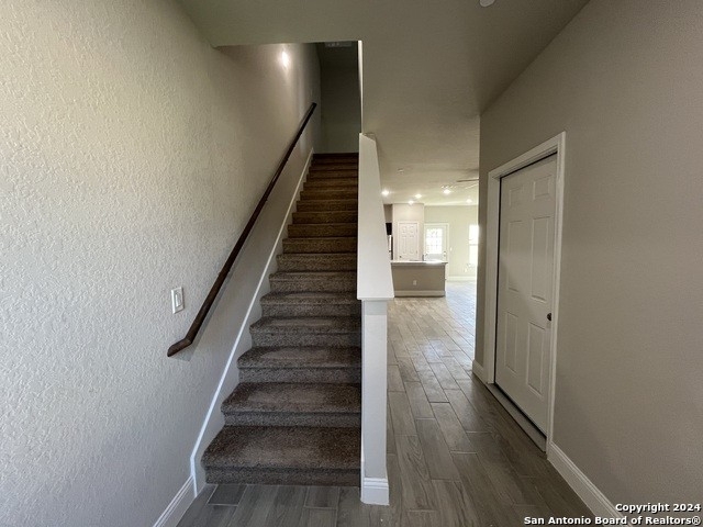 13317 Reid Meadows - Photo 2