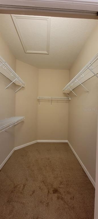 7135 Forest Mere Drive - Photo 28