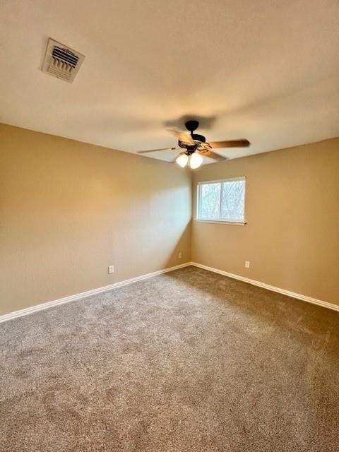 11316  Bristle Oak Trl - Photo 12