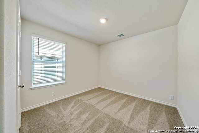 5607 Chase Falls - Photo 21