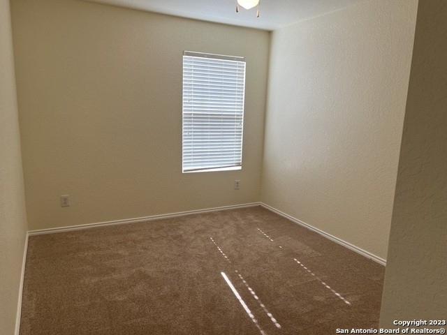 10027 Woodland Pines - Photo 28