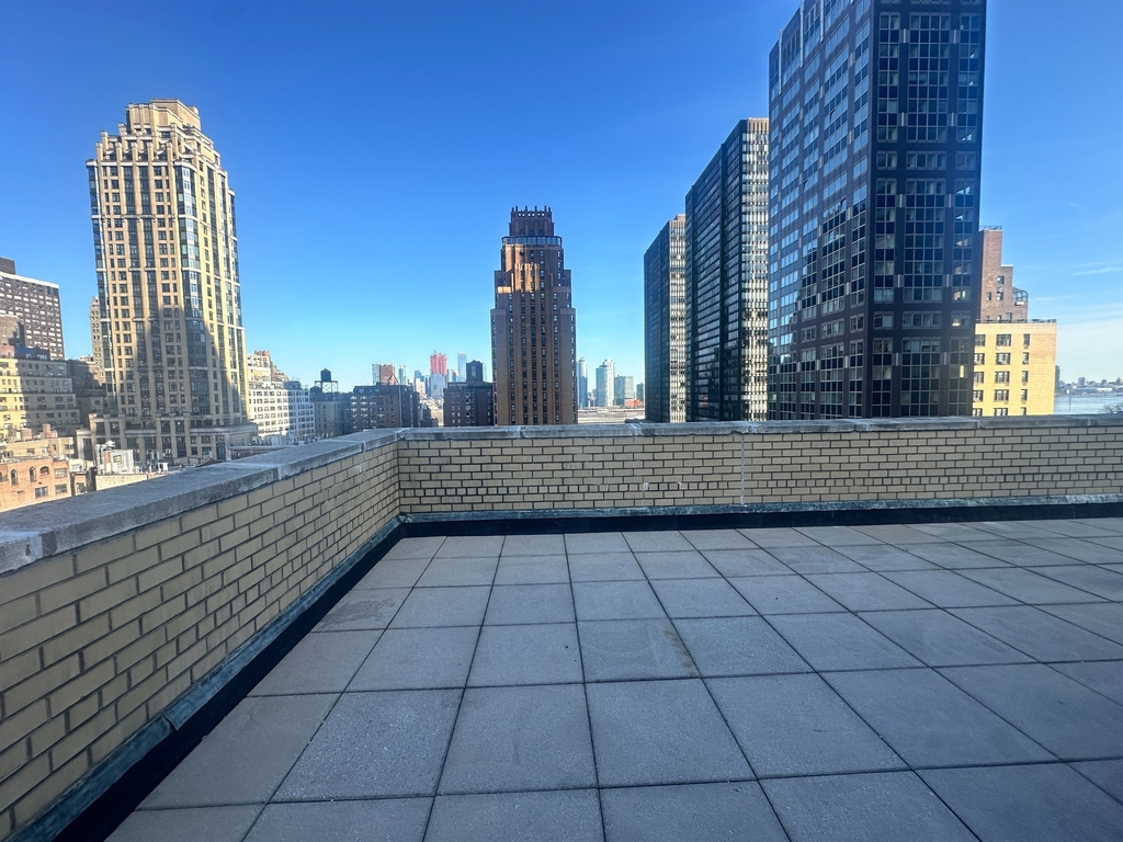 333 East 49th Street - Photo 7