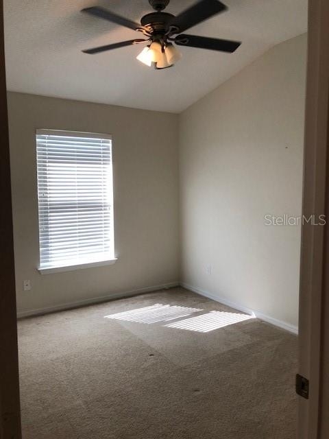 10824 Derringer Drive - Photo 10