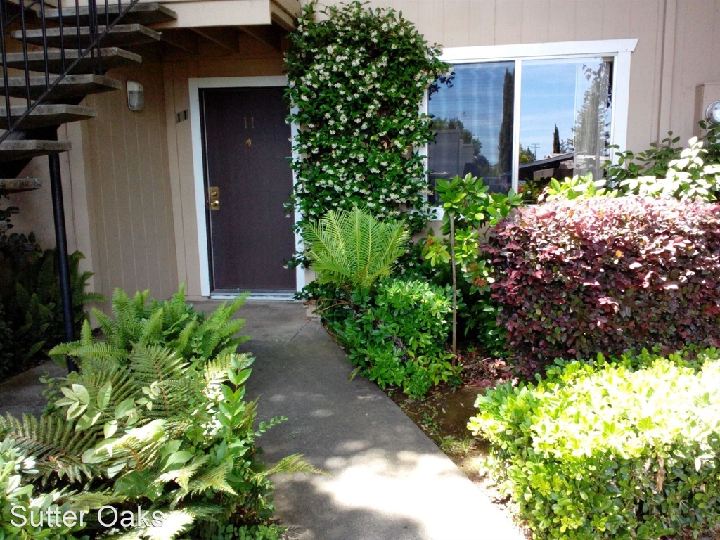 5727 Sutter Ave - Photo 16