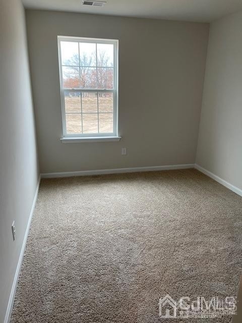 10 Peregrine Way - Photo 13