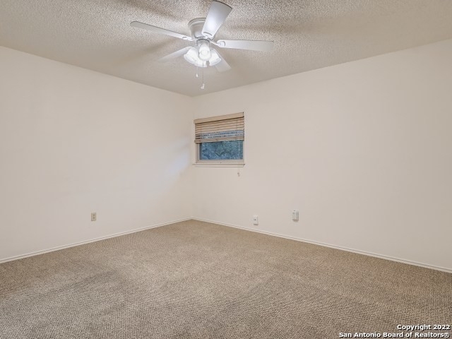 9731 Knob Oak - Photo 11