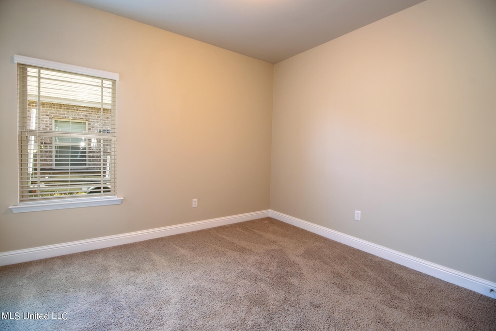 123 Clear Springs Circle - Photo 17