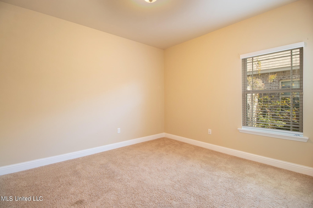 123 Clear Springs Circle - Photo 14