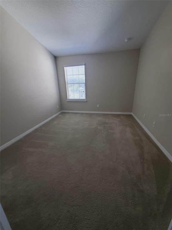 10859 Corsican Street - Photo 13