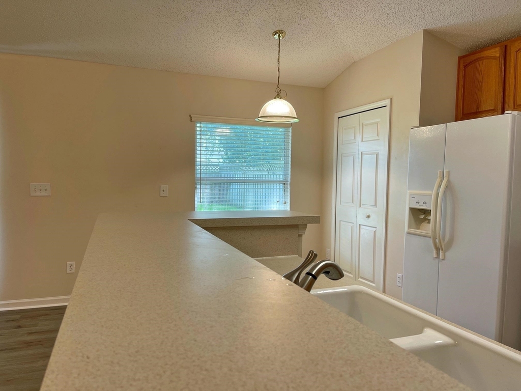 1309 River City Drive - Photo 8