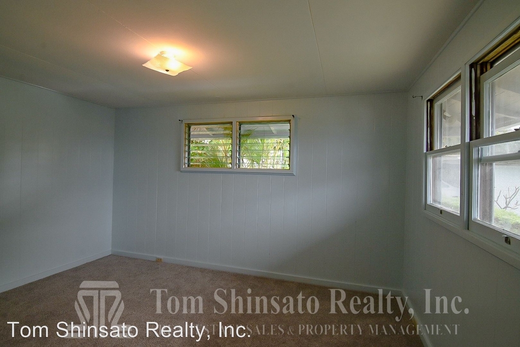 4119 Pakolu Place - Photo 11