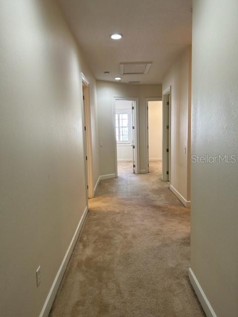 11410 Bellamar Street - Photo 9