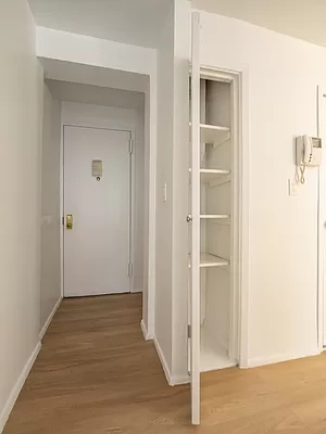405 West 52nd Street - Photo 6