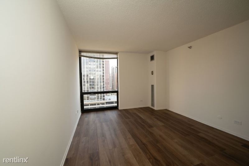 1120 N. Lasalle 19r - Photo 1