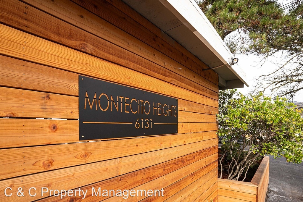 6131 Montecito Boulevard - Photo 11