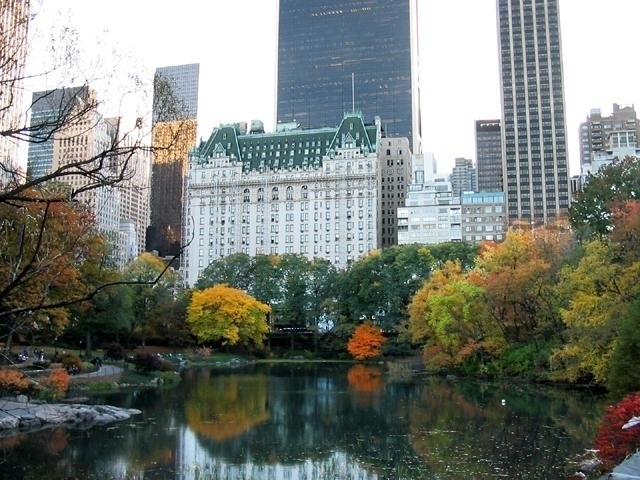 Central Park South  - Photo 6