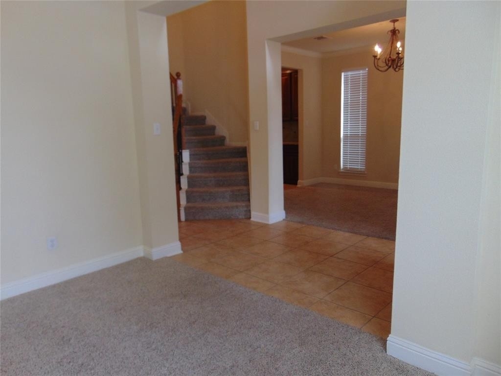 11904  Quassia Dr - Photo 20