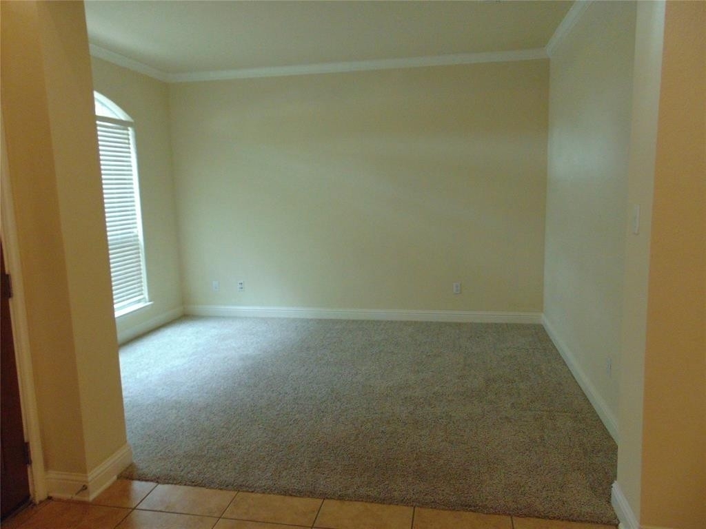 11904  Quassia Dr - Photo 2