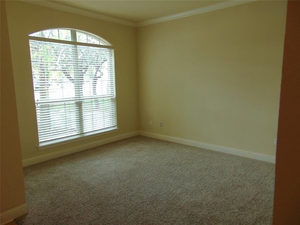 11904  Quassia Dr - Photo 3