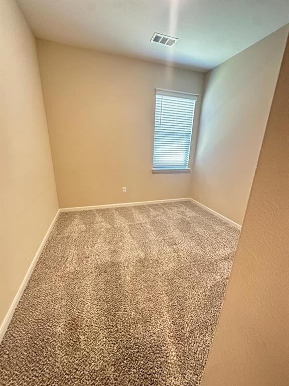 1707 Cotton Blossom Lane - Photo 20