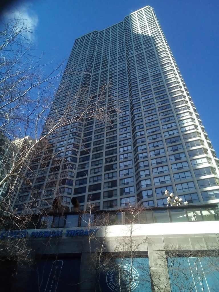 405 N Wabash Avenue - Photo 0