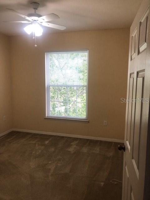 10211 Courtney Palms Boulevard - Photo 11