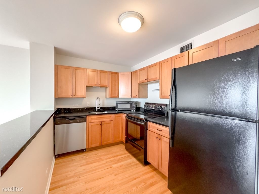 1636 N. Wells, Unit A4003 - Photo 1