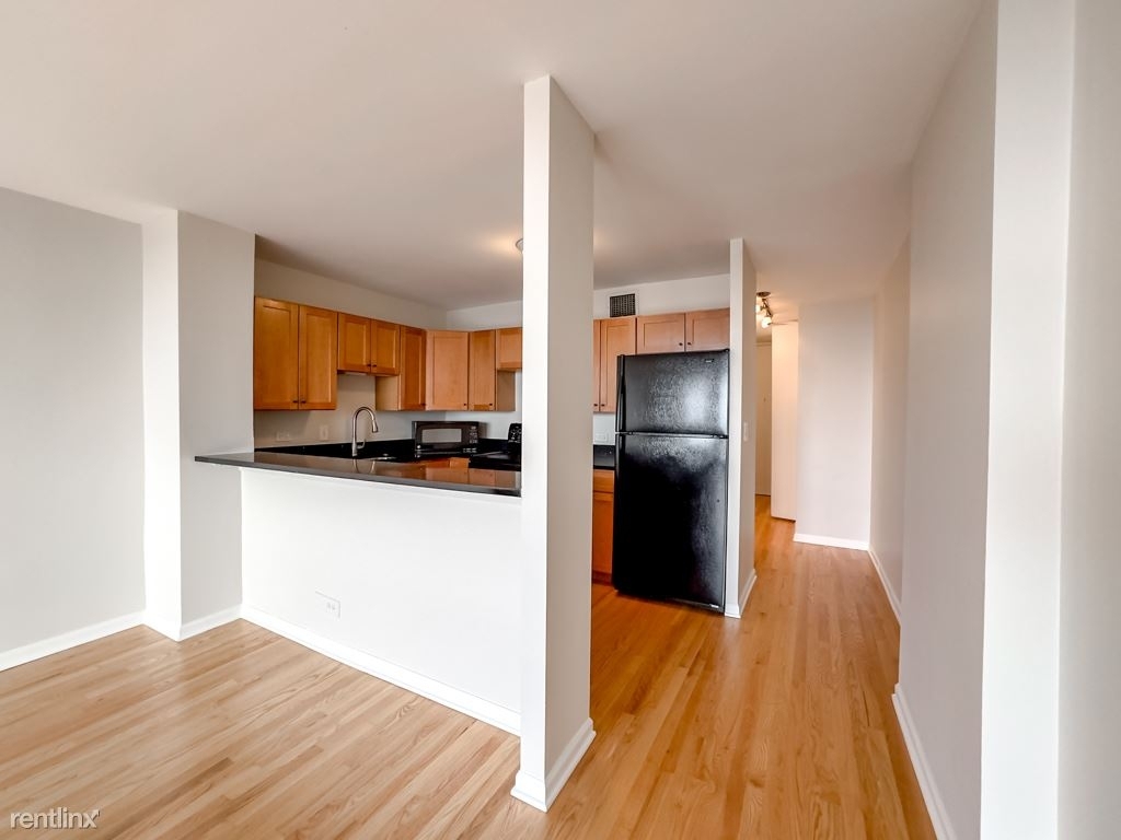 1636 N. Wells, Unit A4003 - Photo 5