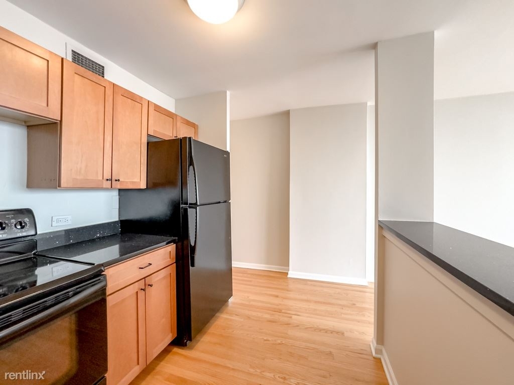 1636 N. Wells, Unit A4003 - Photo 3