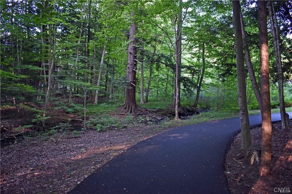 8786 Pasture Gate Lane - Photo 19