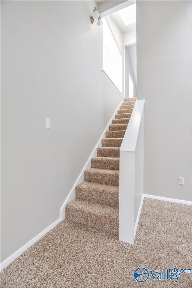 111 Briargate Lane - Photo 17