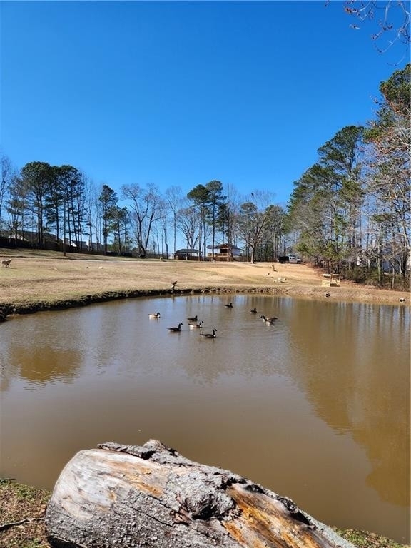 3898 Ridge Road - Photo 43