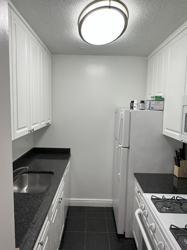 235 East 95th Street - Photo 3