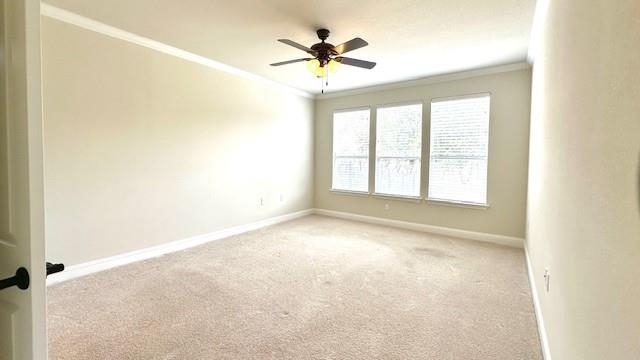 215 Mckittrick Rdg - Photo 20