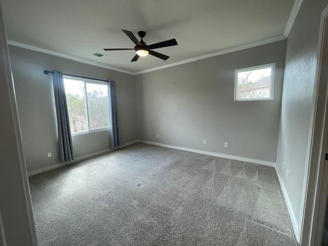 7501 Shadowridge Run - Photo 10