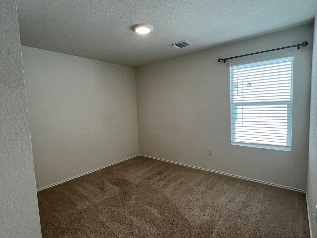 11902 Pyrite Rd - Photo 9